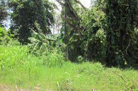 Residential Lot for Sale in Discovery Bay