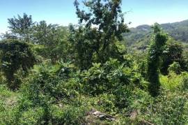 Residential Lot for Sale in Kingston 19