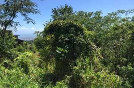 Residential Lot for Sale in Kingston 19