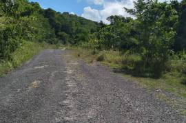 Residential Lot for Sale in Browns Town