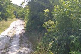 Residential Lot for Sale in Browns Town