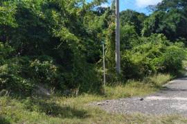 Residential Lot for Sale in Browns Town