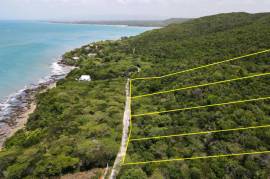 Residential Lot for Sale in Treasure Beach