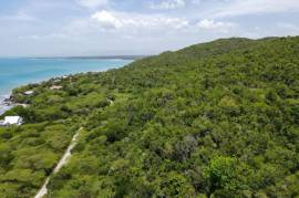 Residential Lot for Sale in Treasure Beach