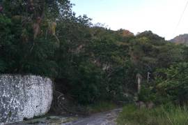 Residential Lot for Sale in Kingston 8