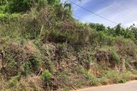 Residential Lot for Sale in Kingston 20