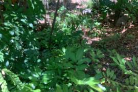 Residential Lot for Sale in Kingston 20