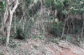 Residential Lot for Sale in Red Hills