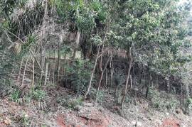 Residential Lot for Sale in Red Hills