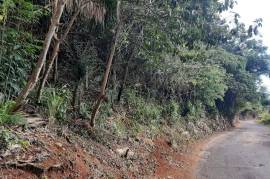 Residential Lot for Sale in Red Hills