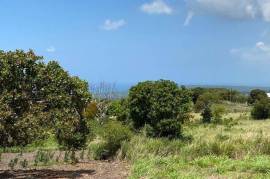 Residential Lot for Sale in Treasure Beach