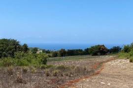 Residential Lot for Sale in Treasure Beach