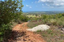 Residential Lot for Sale in Treasure Beach