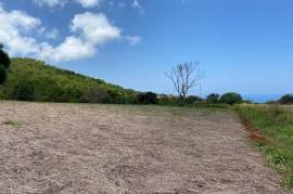 Residential Lot for Sale in Treasure Beach