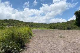 Residential Lot for Sale in Treasure Beach