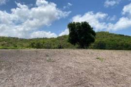 Residential Lot for Sale in Treasure Beach