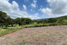 Residential Lot for Sale in Treasure Beach