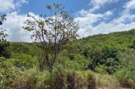 Residential Lot for Sale in Treasure Beach