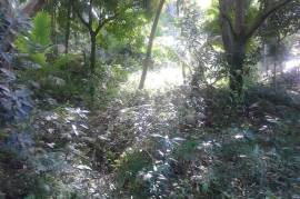 Residential Lot for Sale in Highgate