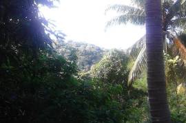 Residential Lot for Sale in Highgate