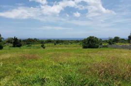 Residential Lot for Sale in Laughlands