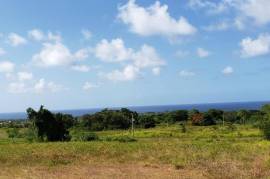 Residential Lot for Sale in Laughlands