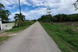 Residential Lot for Sale in Discovery Bay