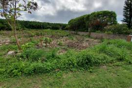 Residential Lot for Sale in Discovery Bay