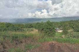 Residential Lot for Sale in Junction