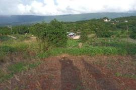 Residential Lot for Sale in Junction