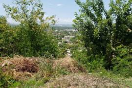 Residential Lot for Sale in Kingston 19