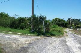 Residential Lot for Sale in White House WD