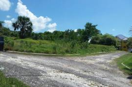 Residential Lot for Sale in White House WD