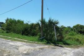 Residential Lot for Sale in White House WD