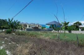 Residential Lot for Sale in White House WD