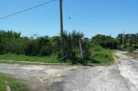 Residential Lot for Sale in White House WD