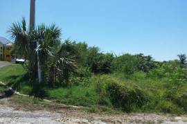 Residential Lot for Sale in White House WD