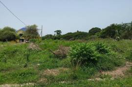 Residential Lot for Sale in White House WD