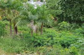 Residential Lot for Sale in Montego Bay