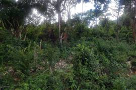 Residential Lot for Sale in Montego Bay