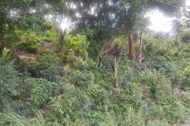 Residential Lot for Sale in Montego Bay