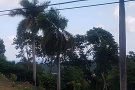 Residential Lot for Sale in Montego Bay