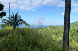 Residential Lot for Sale in Port Antonio