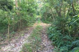 Residential Lot for Sale in Port Antonio