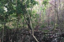 Residential Lot for Sale in Port Antonio