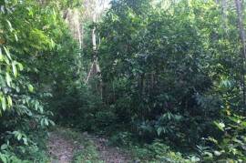 Residential Lot for Sale in Port Antonio