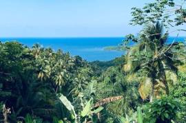 Residential Lot for Sale in Port Antonio