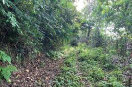 Residential Lot for Sale in Port Antonio