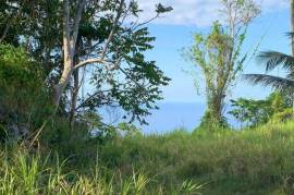 Residential Lot for Sale in Port Antonio