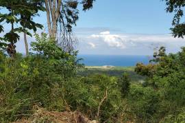 Residential Lot for Sale in St. Ann's Bay